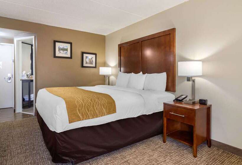 Hotel Comfort Inn Atlanta International Airport