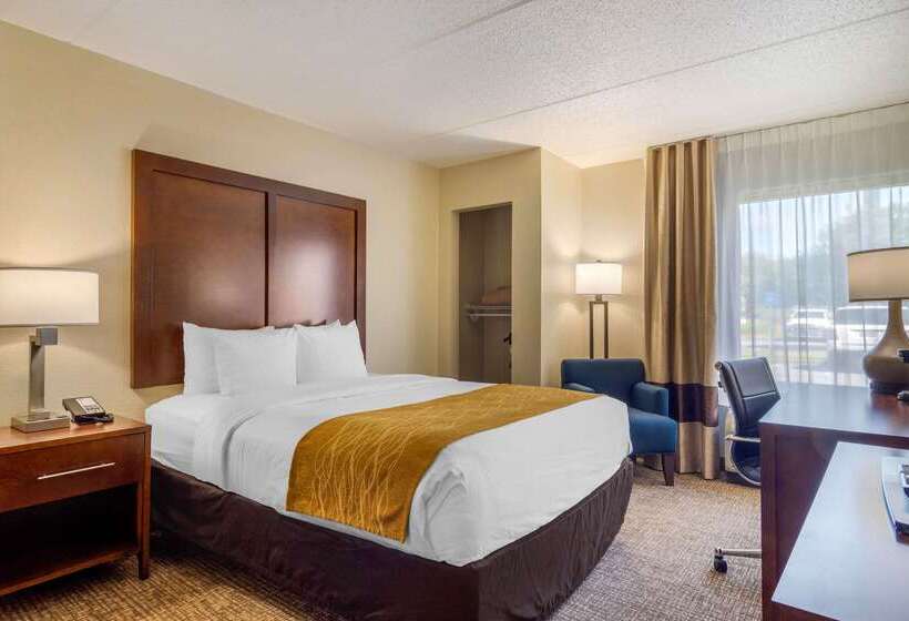 هتل Comfort Inn Atlanta Airport