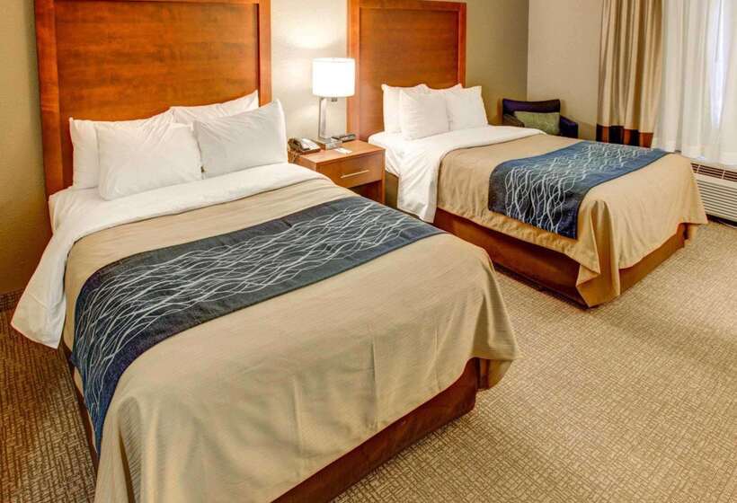ホテル Comfort Inn Conference Center