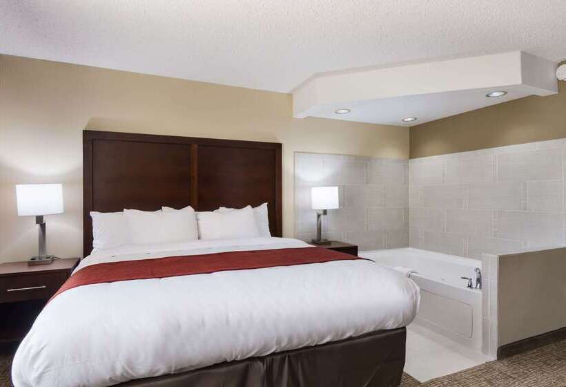 ホテル Comfort Inn