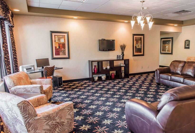 酒店 Comfort Inn