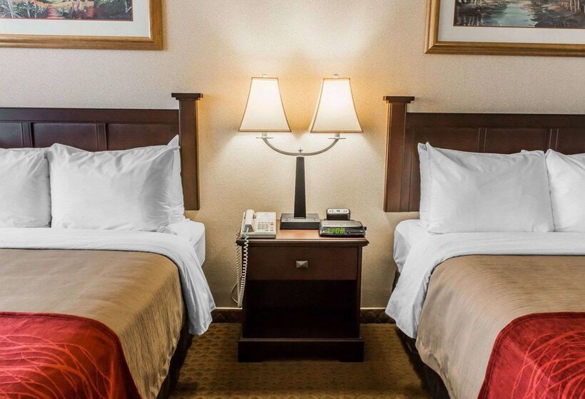 酒店 Comfort Inn