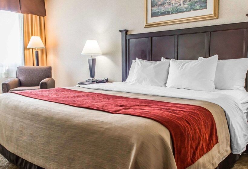 酒店 Comfort Inn