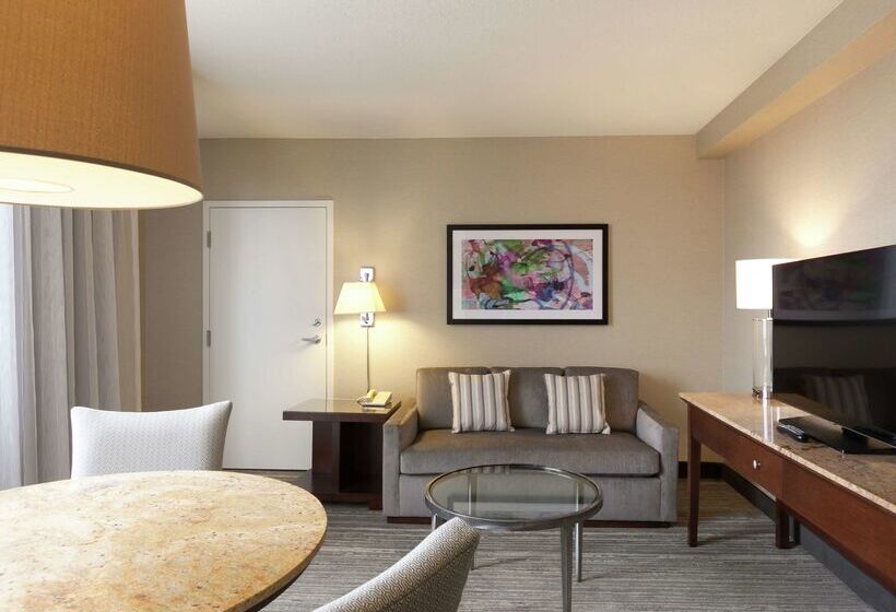 Doubletree By Hilton Hotel & Suites Houston By The Galleria