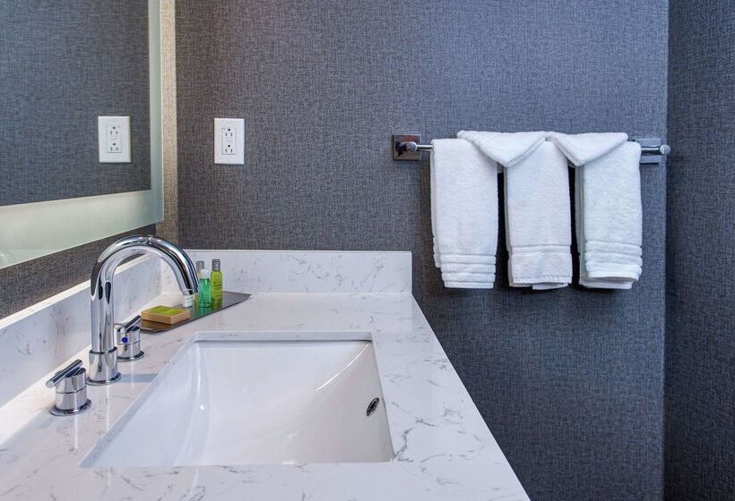 هتل Doubletree By Hilton Appleton