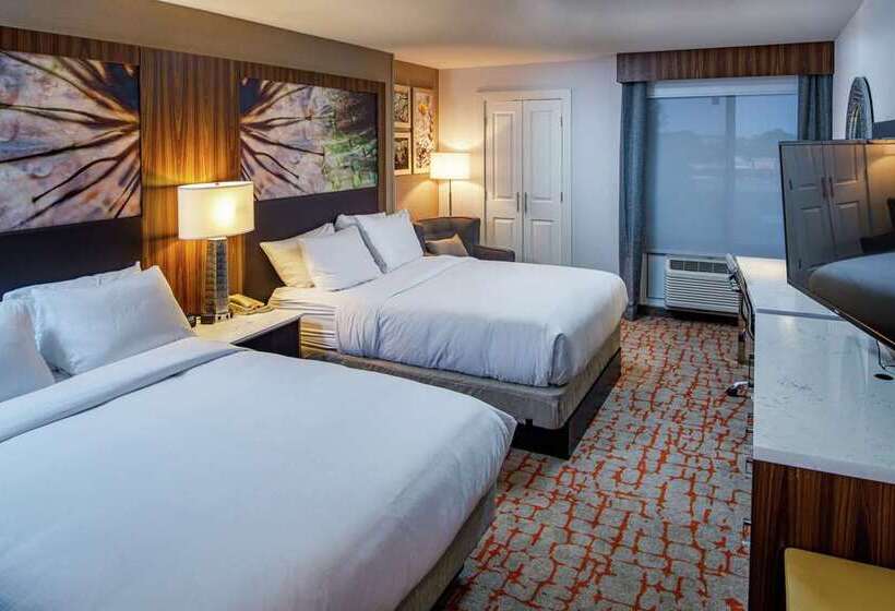 هتل Doubletree By Hilton Appleton