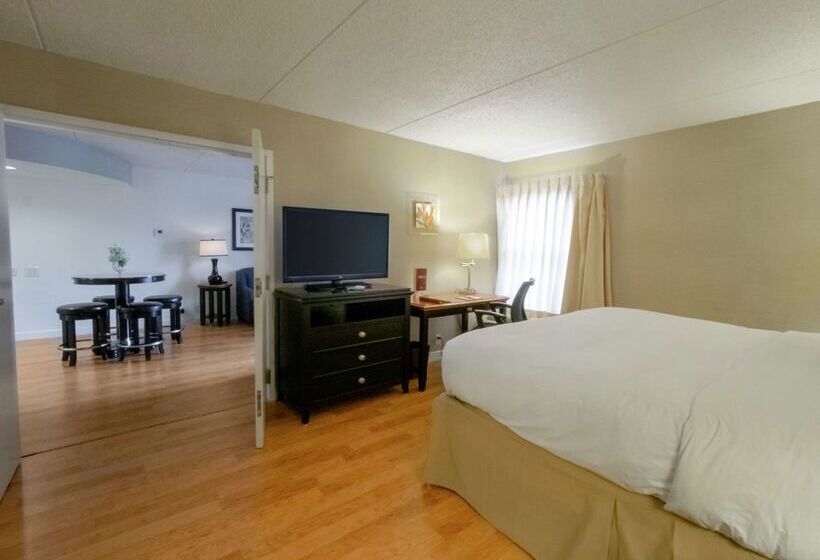 Doubletree By Hilton Hotel Buffalo   Amherst