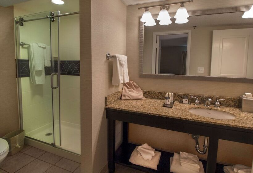 Doubletree By Hilton Hotel Buffalo   Amherst