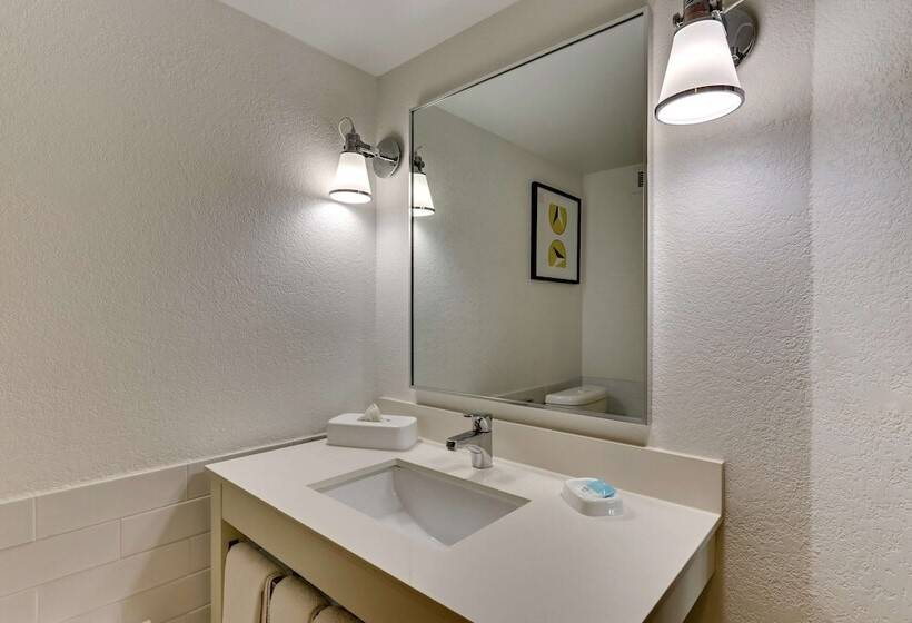 ホテル Drury Inn & Suites San Antonio Airport