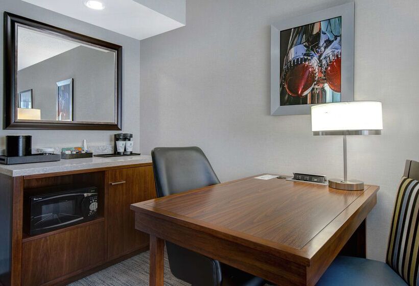 هتل Embassy Suites By Hilton Detroit Metro Airport