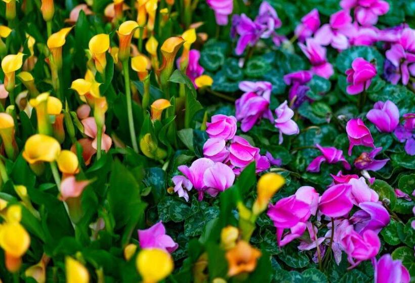 Fotos del hotel Gold Coast Hotel And Casino:  5