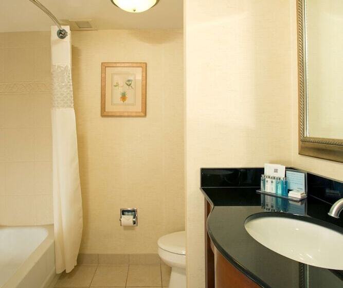 هتل Hampton Inn Alexandria/pentagon South