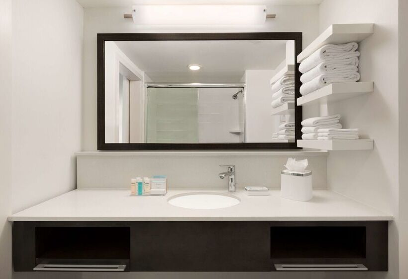 Fotos del hotel Hampton Inn Atlanta Buckhead:  28