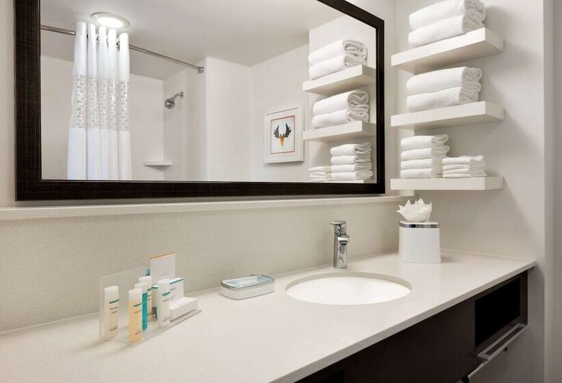 Fotos del hotel Hampton Inn Atlanta Buckhead:  8