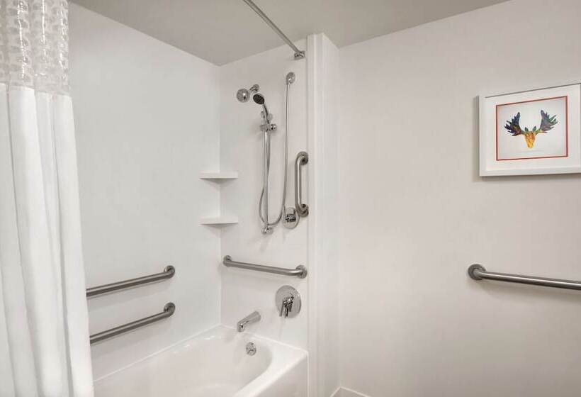 Fotos del hotel Hampton Inn Atlanta Buckhead:  62
