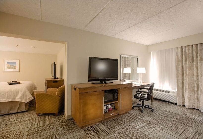 هتل Hampton Inn Atlantanorthlake