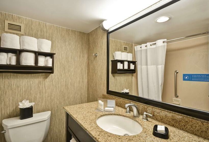ホテル Hampton Inn Chicago/naperville