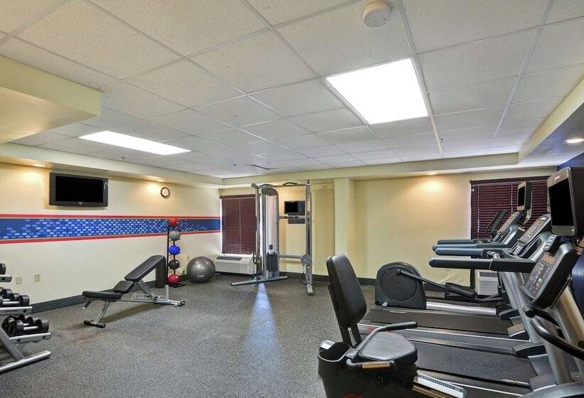 هتل Hampton Inn Columbia I26 Airport