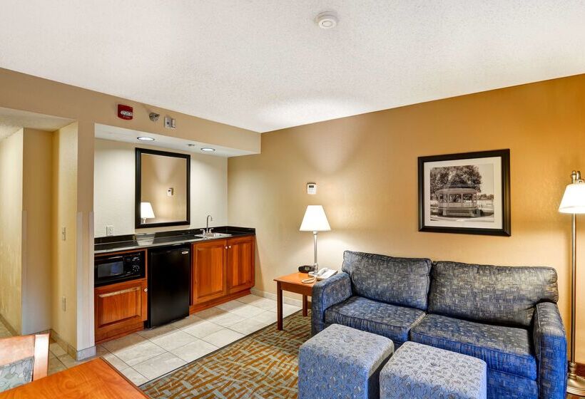 בית מלון כפרי Hampton Inn Hendersonville