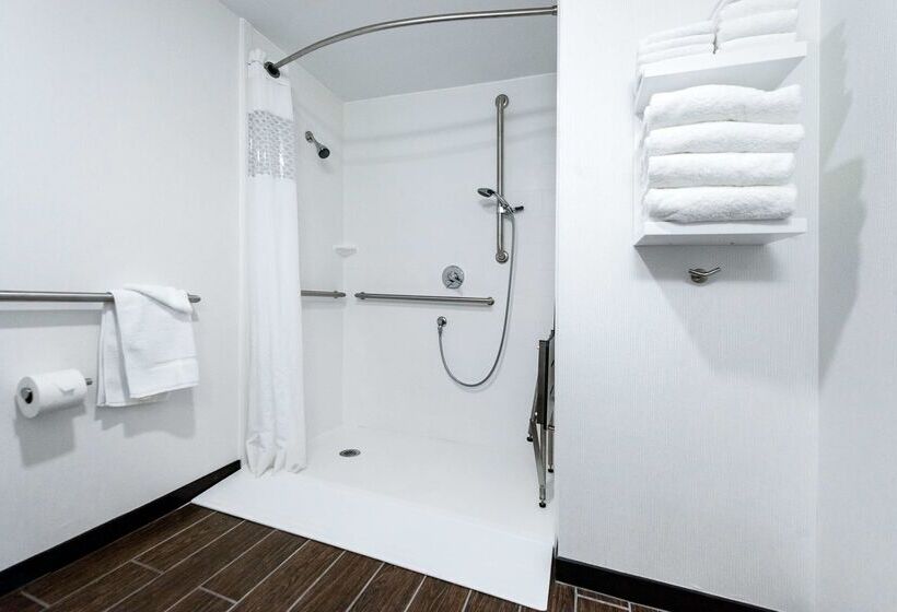 فندق Hampton Inn Meridian