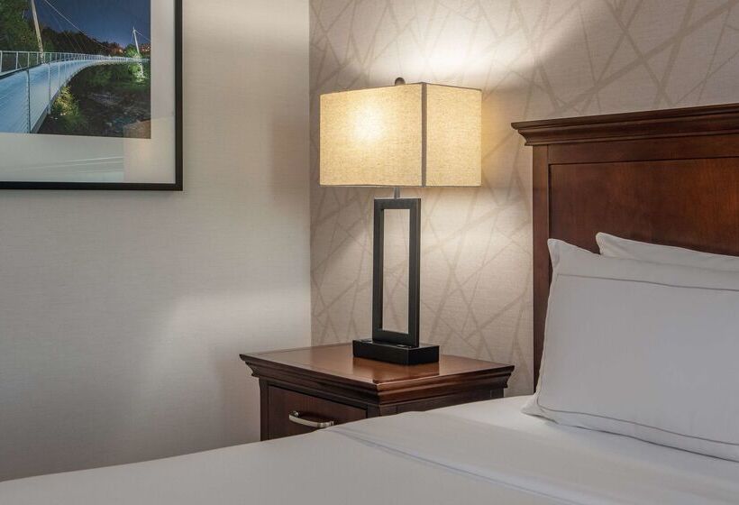 ホテル Hilton Greenville