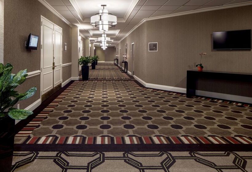 Fotos del hotel Hilton Houston Galleria Area:  25