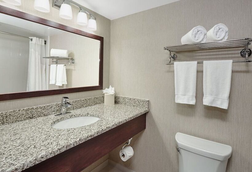 בית מלון כפרי Holiday Inn & Suites Chicago Carol Stream Wheaton, An Ihg