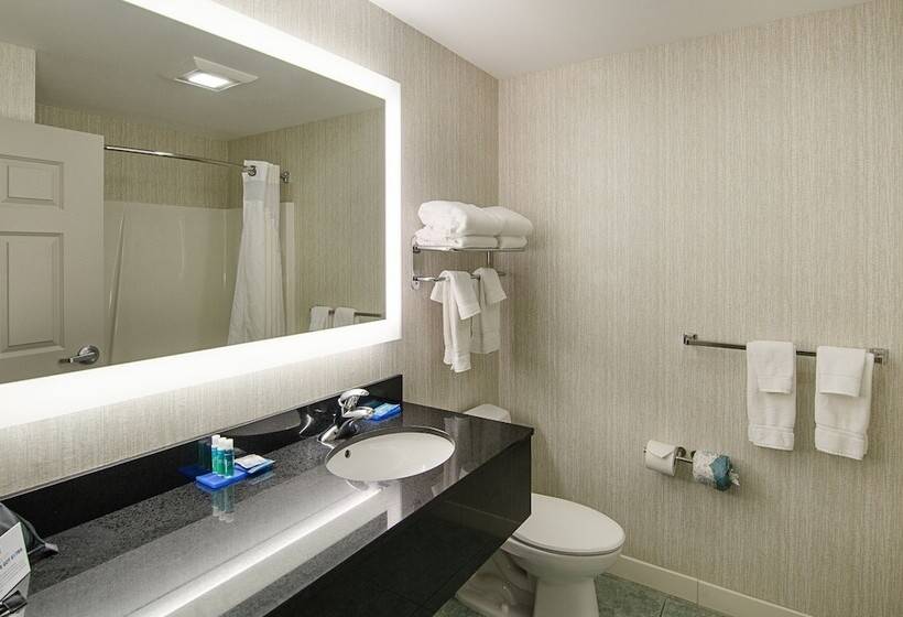 酒店 Holiday Inn Express Lexington By Ihg