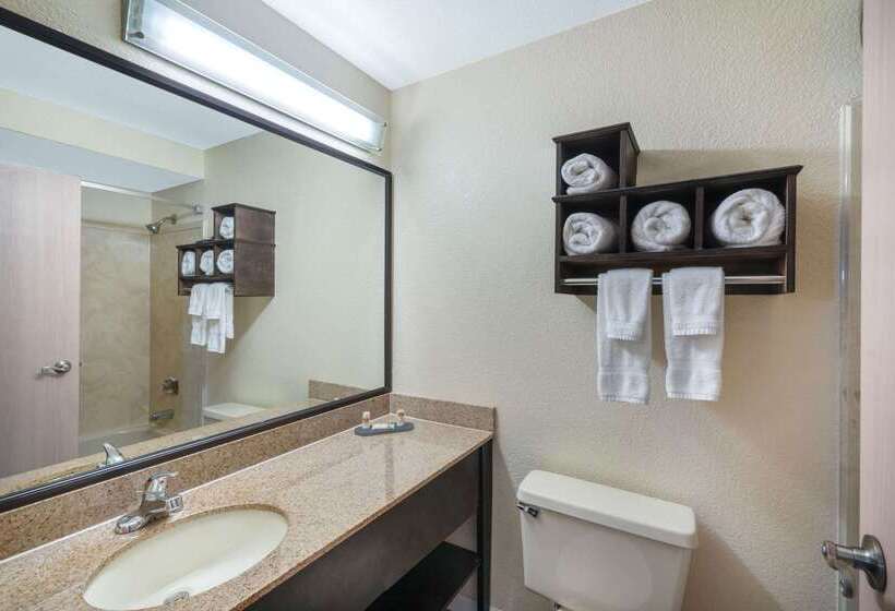 هتل La Quinta By Wyndham Memphis Airport Graceland