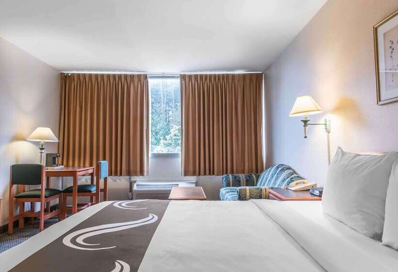 ホテル Quality Inn