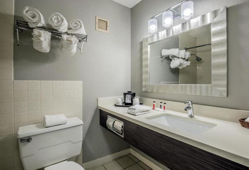 Ramada By Wyndham Mitchell Hotel & Conference Center