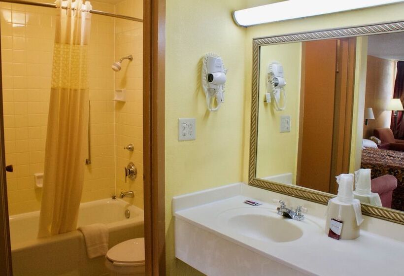 هتل Rodeway Inn
