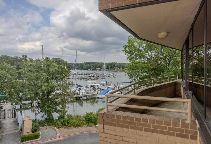ホテル Solomons Inn Resort & Marina