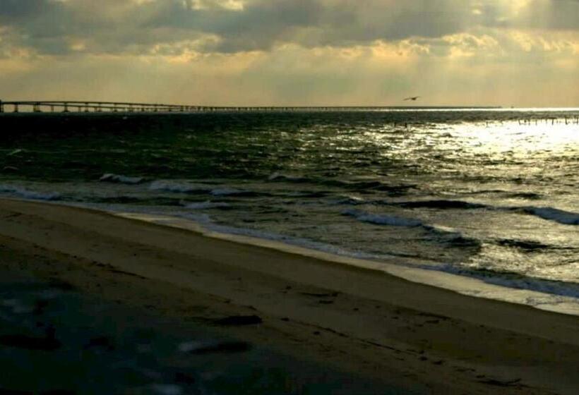 ホテル Solomons Inn Resort & Marina