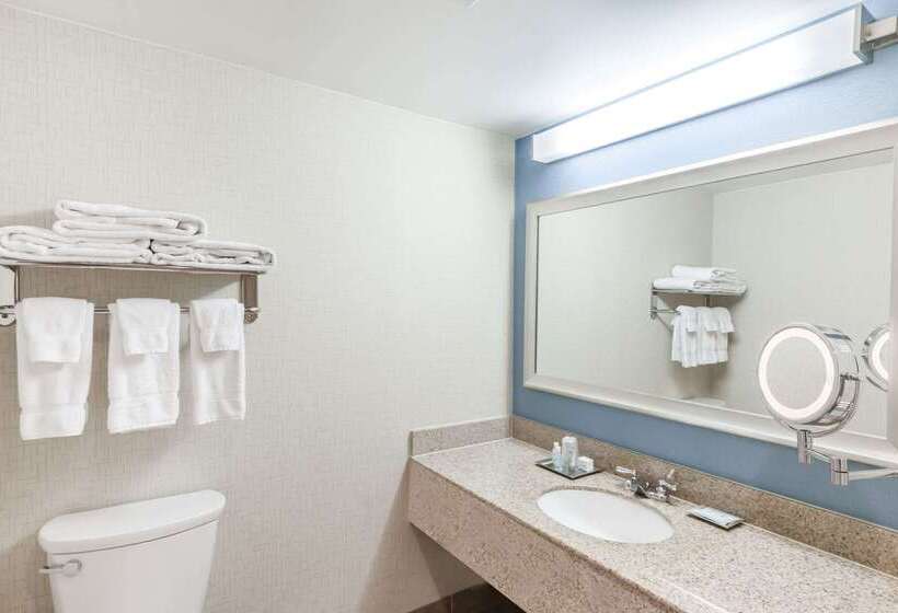 ホテル Courtyard By Marriott Pittsburgh University Center