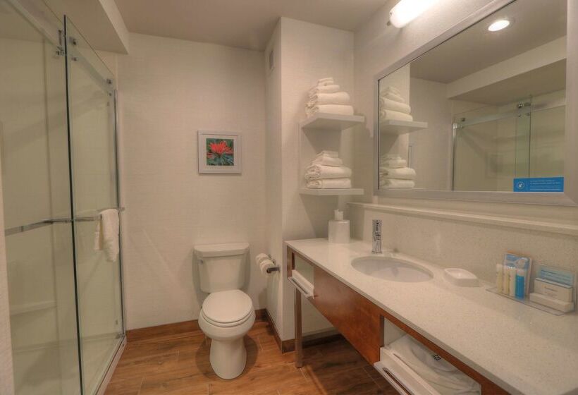 אתר נופש Hampton Inn Gatlinburg Historic Nature Trail