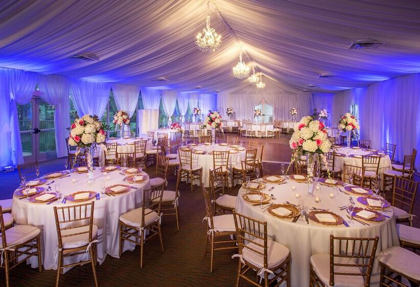 Doubletree Resort By Hilton Hollywood Beach