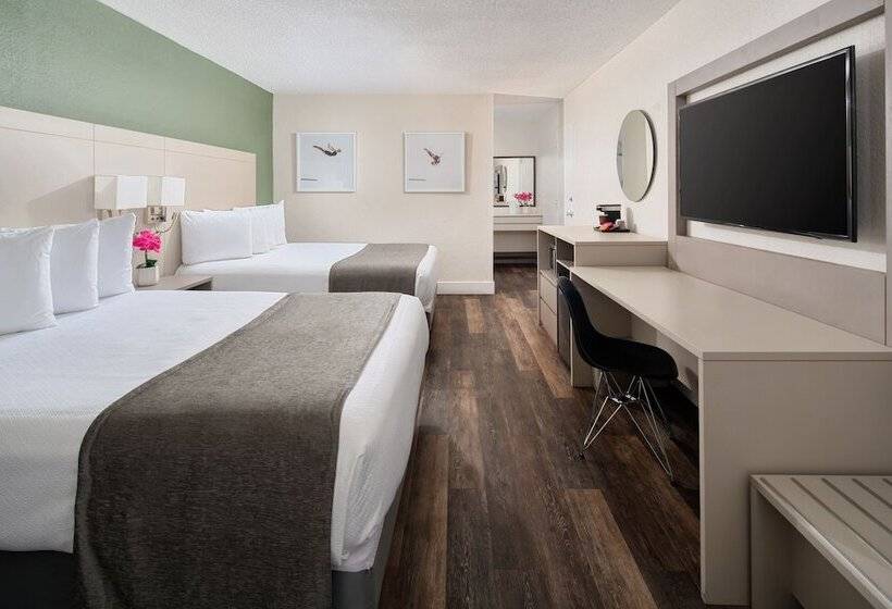 Fotos del hotel Avanti Palms Resort And Conference Center:  2