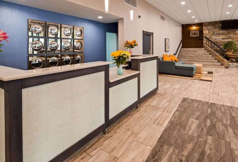 酒店 Best Western Fairfax City