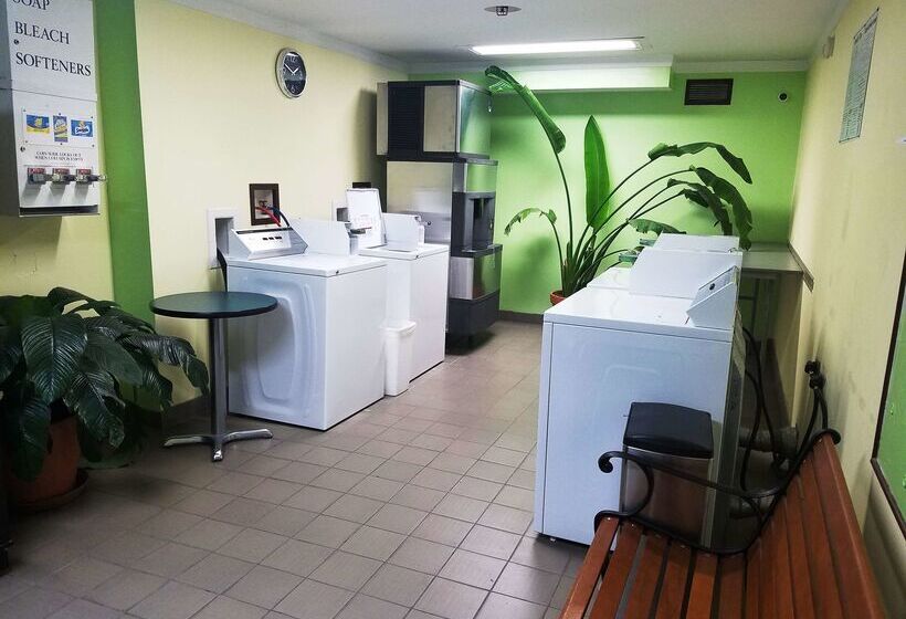 酒店 Best Western Fairfax City