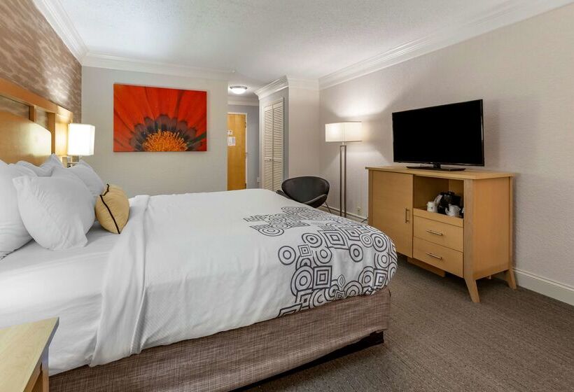 Отель Best Western Plus University Inn