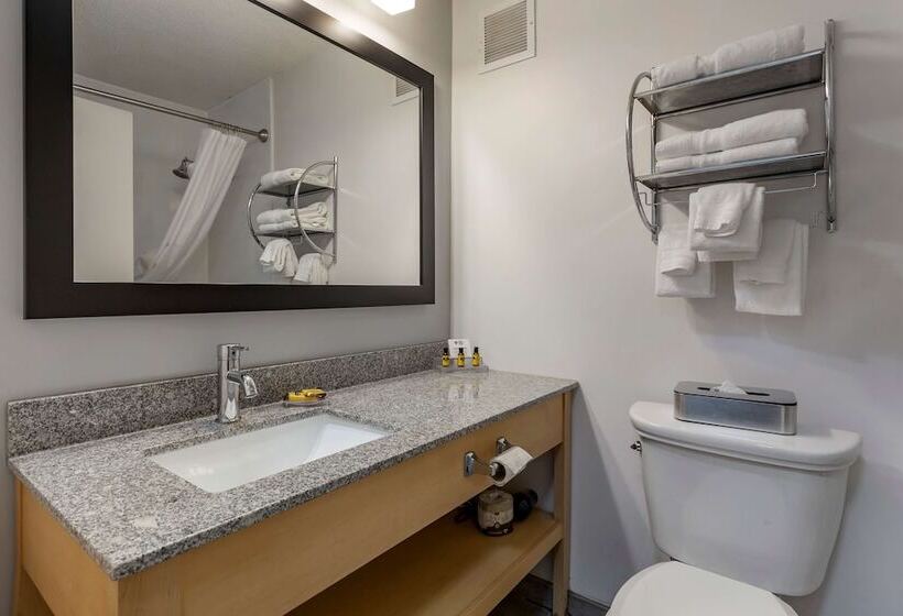 فندق Best Western Plus University Inn