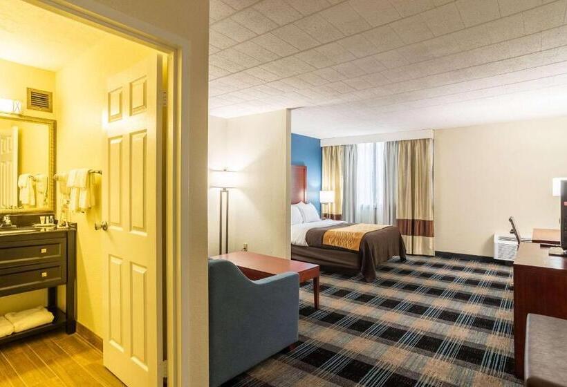 Hotel Comfort Inn And Suites Pittsburgh