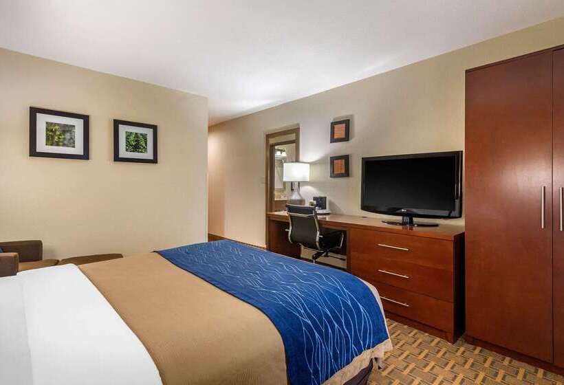 هتل Comfort Inn And Suites Springfield