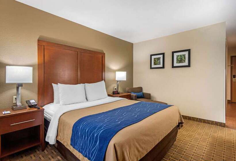 Hotel Comfort Inn And Suites Springfield