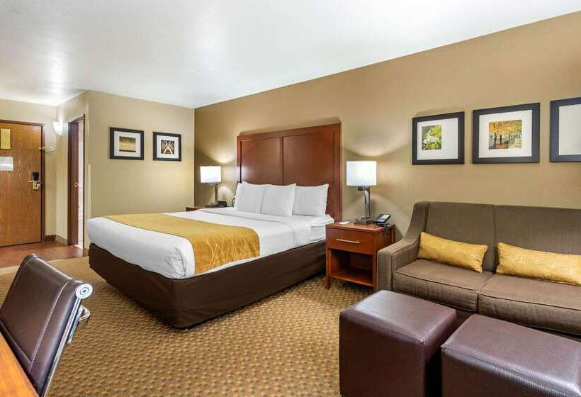 Hotel Comfort Inn And Suites Springfield