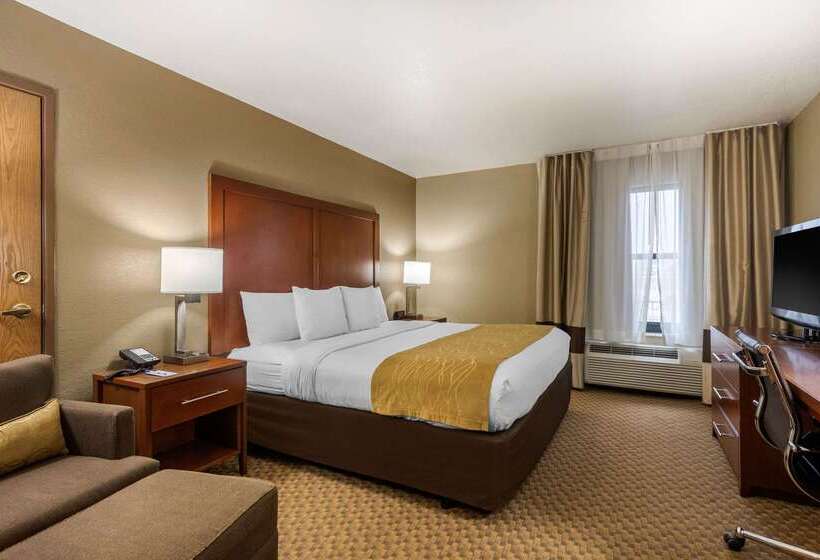 Hotel Comfort Inn And Suites Springfield