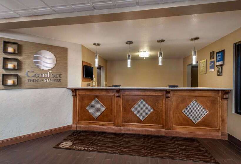 هتل Comfort Inn & Suites Springfield I 44