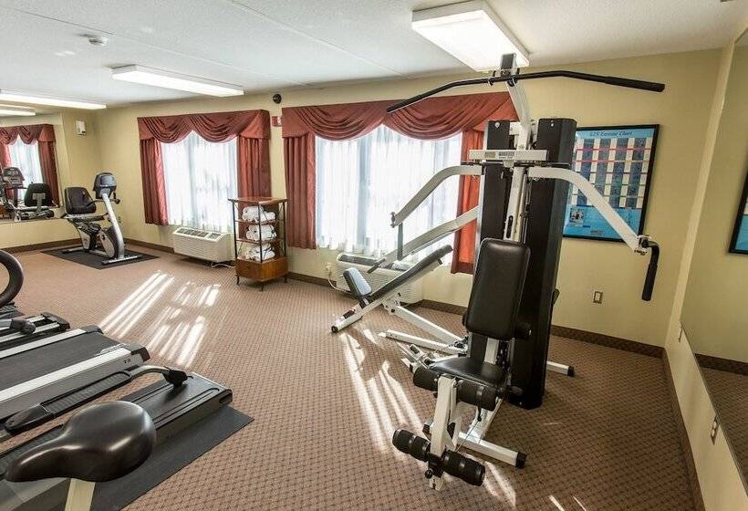 هتل Comfort Inn & Suites Springfield I 44