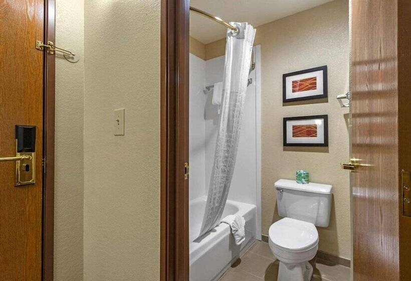 هتل Comfort Inn & Suites Springfield I 44